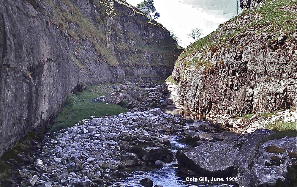 Cote Gill